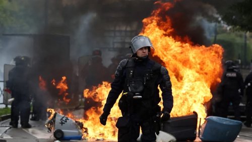 Трима поморийци засадиха нива с канабис край Несебър - E-Burgas.com