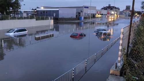 Да намерим Марк! - E-Burgas.com