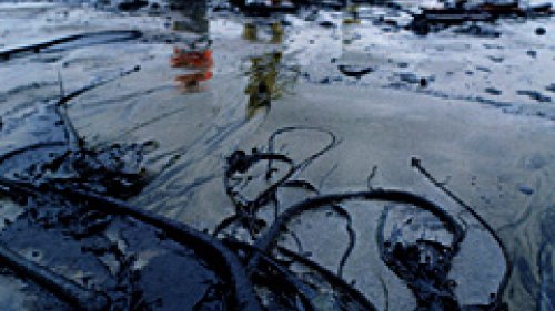 Снимката е илюстративна 