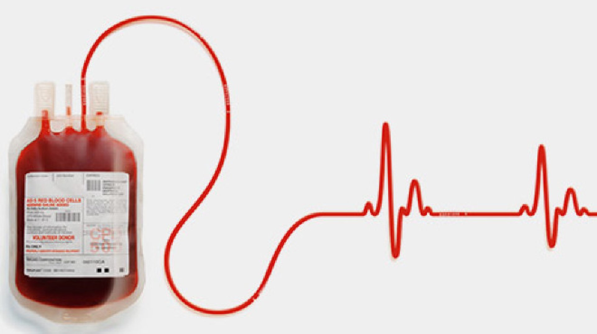 Бургас тръгва към нов рекорд: 10 000 кръводарители до края на 2025 г. – „Гласове за живот“ обединява града - E-Burgas.com