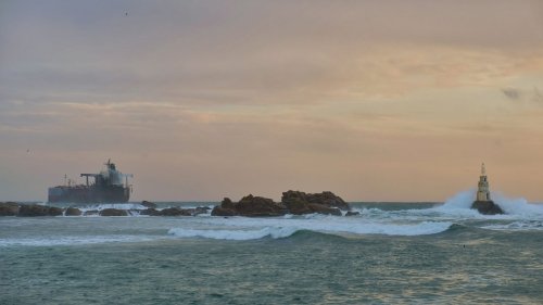 Снимка : Здравко Василев 