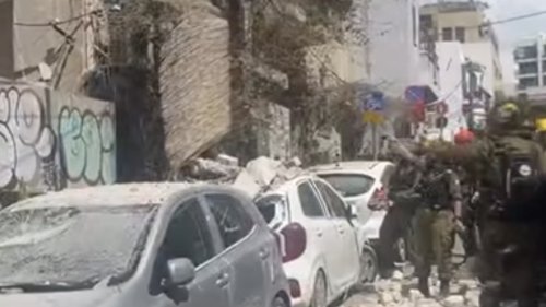 Деца ще се маскират като растения и животни в Карнавала на биоразнообразието - E-Burgas.com