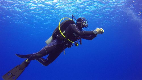 Lafka е с нов таен собственик! - E-Burgas.com