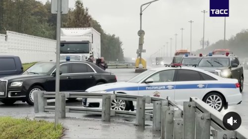 Меката зима докара плъхове и хлебарки в Бургас - E-Burgas.com