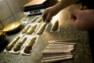 An employee places filter tips in joints containing marijuana at a coffee shop in the southern Dutch city of Bergen op Zoom