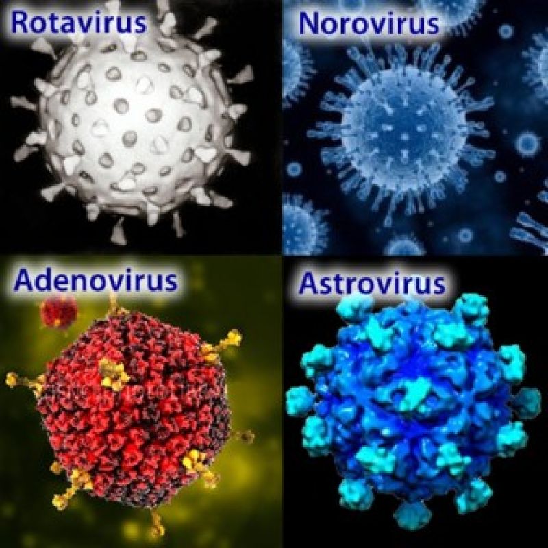 Нов комбиниран тест доказва наличието на вирусни гастроентерити - E-Burgas.com