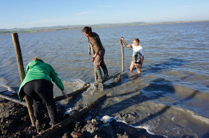 Доброволци спасяват птици от хищниците в Атанасовското езеро (снимки)  - E-Burgas.com