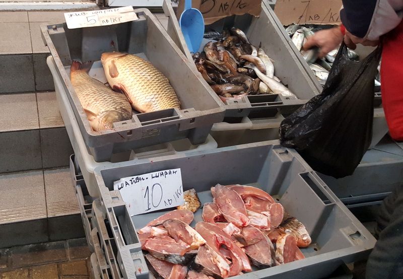 Никулденската еуфория още не е обхванала търговците на риба (Снимки) - E-Burgas.com