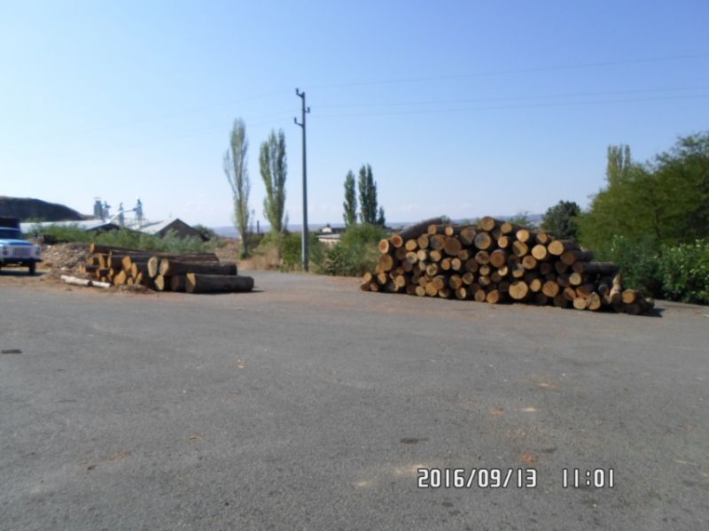 Фабриката за дървен материал в Айтос на търг за половин милион (снимки)  - E-Burgas.com