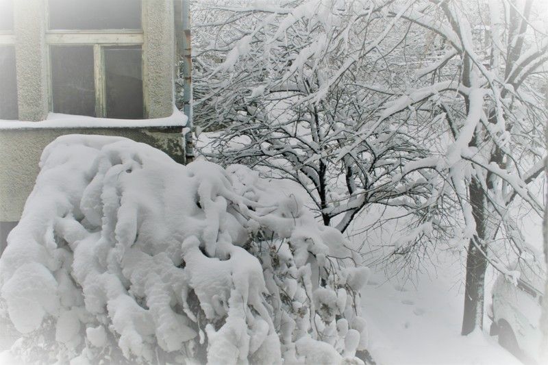 Вижте зимата в Странджа /снимки/ - E-Burgas.com