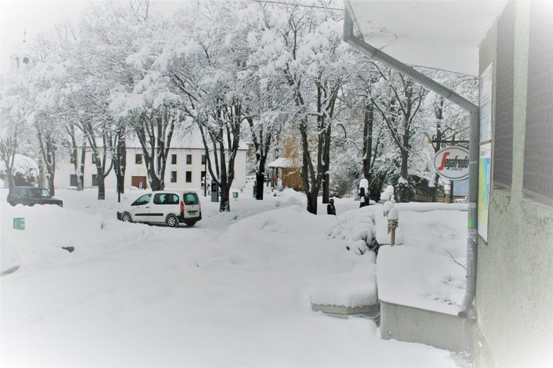 Вижте зимата в Странджа /снимки/ - E-Burgas.com