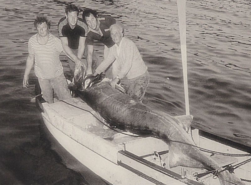Риболовът за моруни е занаят на живот и смърт - E-Burgas.com