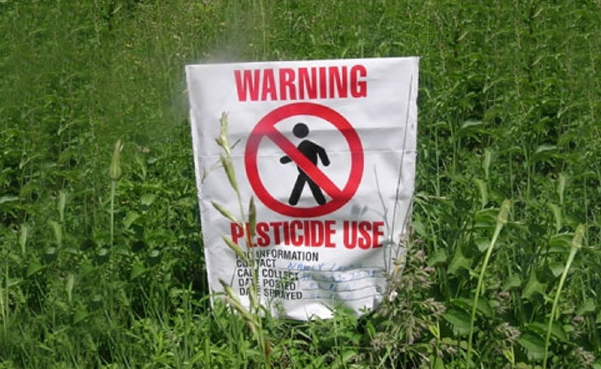 Чем опасны пестициды. Опасность пестицидов. Пестициды ядовитые. Опасные инсектициды. Пестициды опасно.