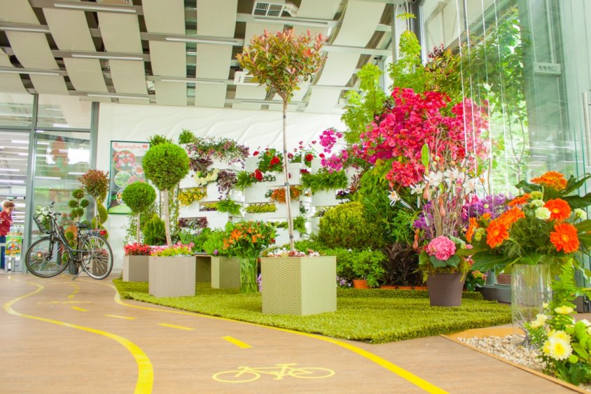 “Флора’2017” - хищни растения, бонсай, орхидеи и цветни скулптури - E-Burgas.com