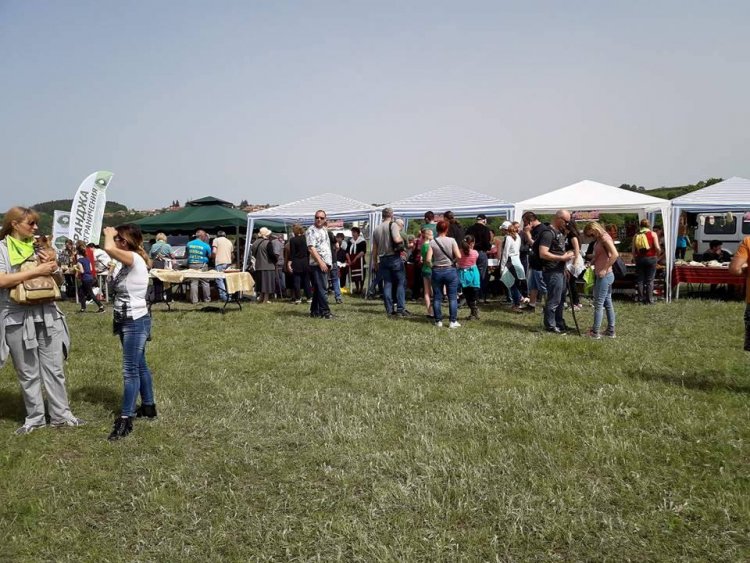 Хиляди откриха фестивала на Зелениката в Странджа (Снимки) - E-Burgas.com