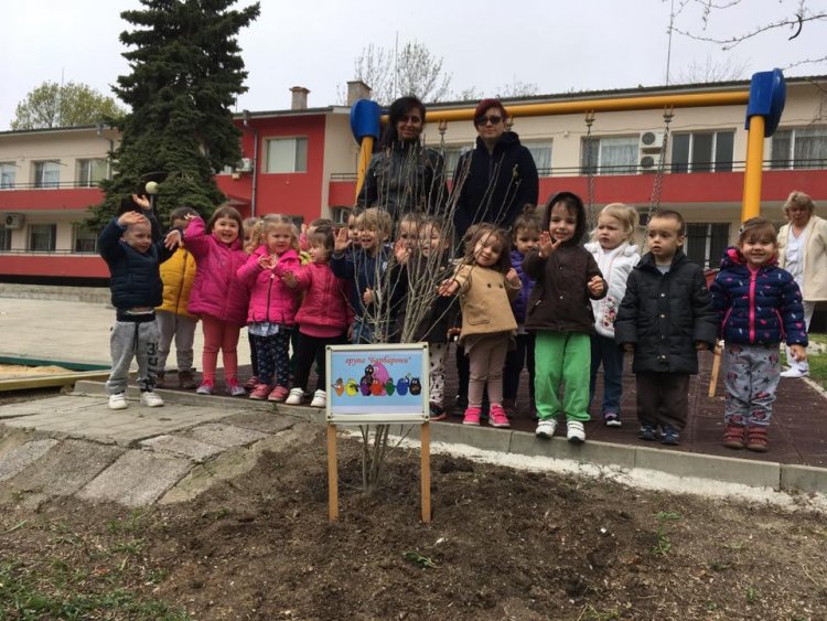 Бургаски малчугани засадиха дръвчета в двора на детската си ясла - E-Burgas.com