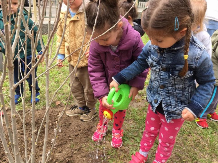 Бургаски малчугани засадиха дръвчета в двора на детската си ясла - E-Burgas.com