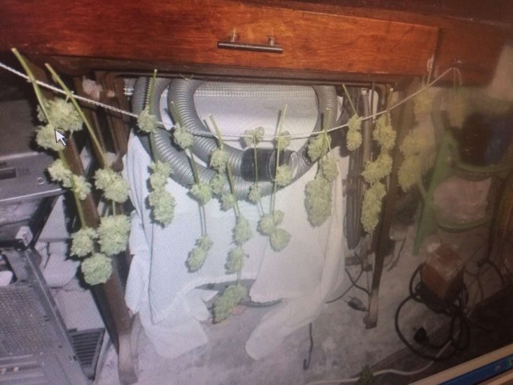 Полицаи завардиха надрусана батка с БМВ край Поморие, вижте какво откриха в дома му (Снимки) - E-Burgas.com