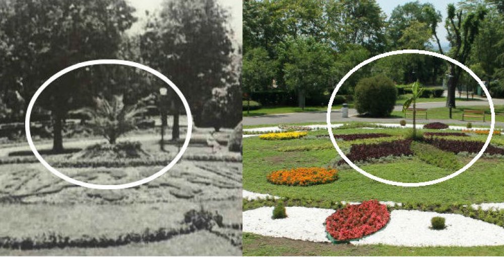 Като две капки вода: Цветното колело в Морската градина преди 60 години и днес (снимка)  - E-Burgas.com