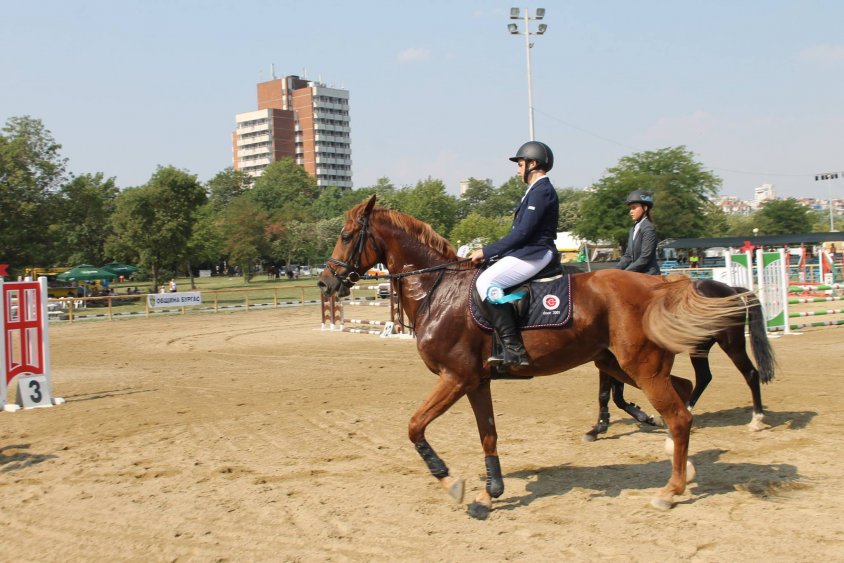 Вижте елитните коне и техните ездачи на Фестивала на конния спорт в Бургас /галерия/ - E-Burgas.com