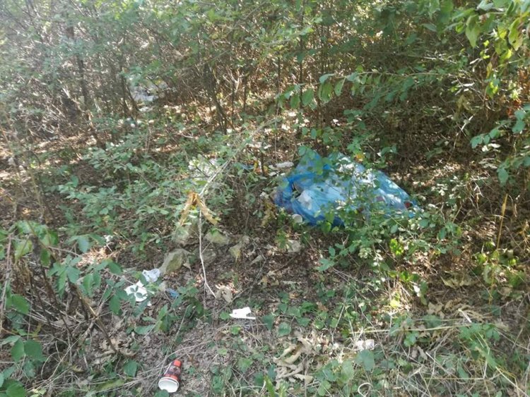 Туристи: Екопътеката край Младежко е зарината от боклук (снимки)  - E-Burgas.com