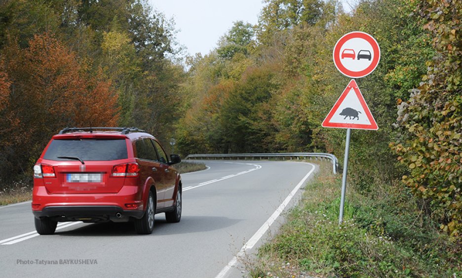 Уникални пътни знаци са поставени по пътищата в Странджа - E-Burgas.com