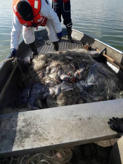 Акция на полицията на Вая! Задържаха 33-годишен бургазлия с 300 кила риба (Снимки) - E-Burgas.com