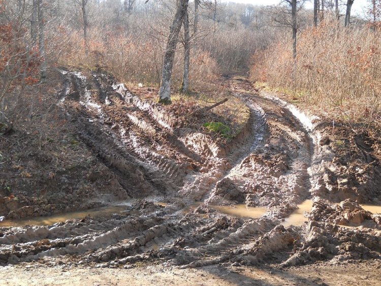 Разкалени пътища и разрушена инфраструктура остават след дърводобив в Странджа /снимки/ - E-Burgas.com