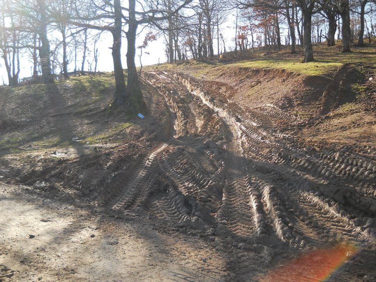 Разкалени пътища и разрушена инфраструктура остават след дърводобив в Странджа /снимки/ - E-Burgas.com