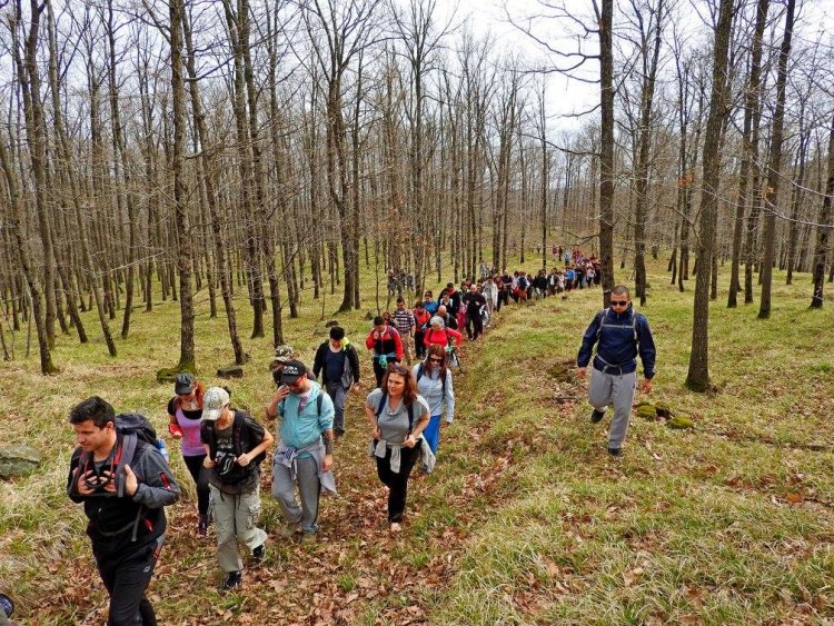 Уикенд в Странджа: Стотина ентусиасти вървяха от Варвара до връх Папия (снимки) - E-Burgas.com