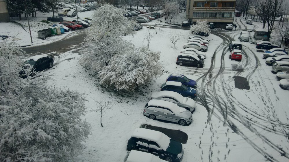 Как снегът ще се отрази на цъфналите дървета в Бургаско? - E-Burgas.com