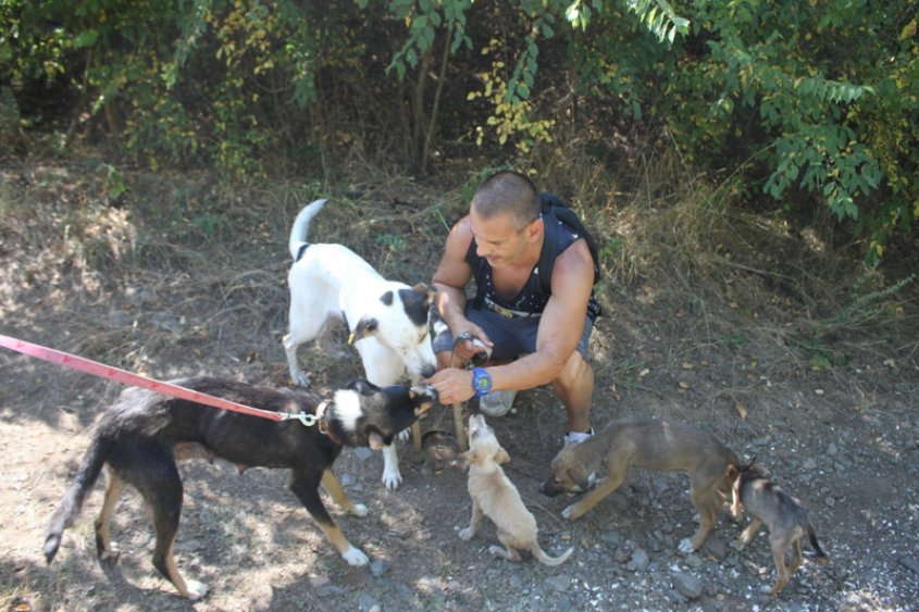 Десетки бургазлии зарадваха с разходка бездомни кучета от приюта край 