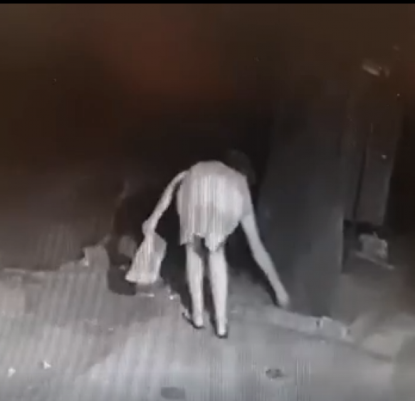 Това ли е жената, която постави отрова и уби лабрадора Харли в Бургас? (видео) - E-Burgas.com