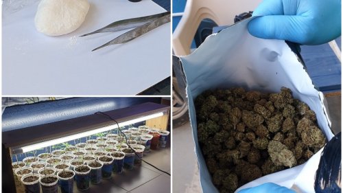 Полицията разби домашната оранжерия на наркодилър от Обзор - E-Burgas.com