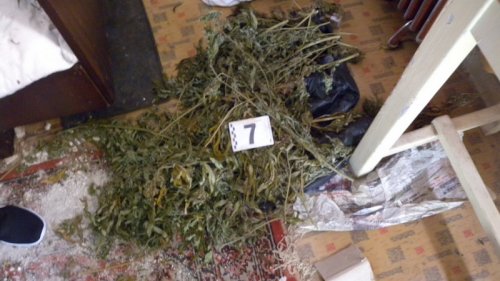 Нова акция на полицията в Бургаско: Намериха 5 кила марихуана в къща в Грозден (Снимки) - E-Burgas.com