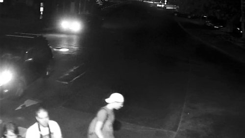 40-килограмов вандал пребори изкуственото човече на пешеходната пътека в 