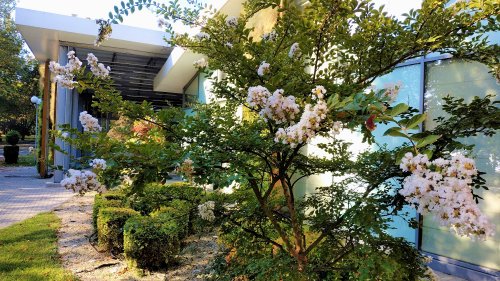 Заповядайте през октомври на „Флора Есен“ с хризантеми, далии, орхидеи и други красоти - E-Burgas.com