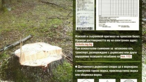 Родните горски с призив: Не купувайте незаконна дървесина! Не бъдете част от проблема! - E-Burgas.com