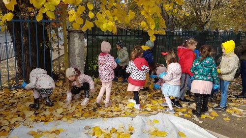 По примера на Швеция и Германия: Бургаските детски градини ще компостират листата на двора - E-Burgas.com
