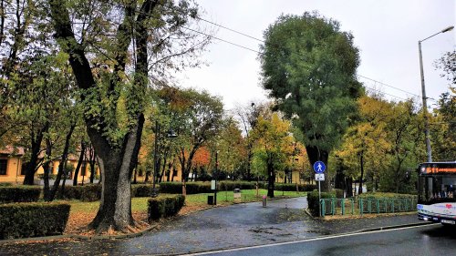 Боларди ще разделят автомобили от пешеходци в Бургас (Снимки) - E-Burgas.com