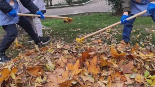 По примера на Швеция и Германия: Бургаските детски градини ще компостират листата на двора - E-Burgas.com