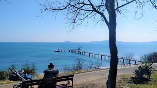 Засаждат 40 млади липи в Морската градина в Бургас (Снимки) - E-Burgas.com