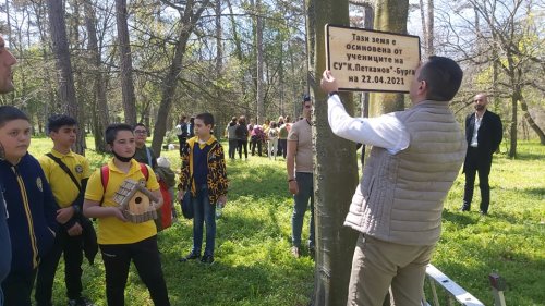 Община Бургас благодари на всички, които подкрепиха нейната инициатива „Засади дърво“ - E-Burgas.com