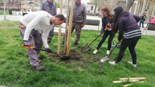Община Бургас благодари на всички, които подкрепиха нейната инициатива „Засади дърво“ - E-Burgas.com