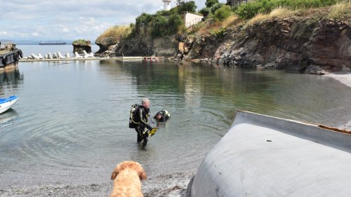 Над 30 водолази от цялата страна чистиха морето край о-в Света Анастасия - E-Burgas.com