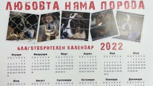 Почетни граждани на Бургас подкрепиха приюта за бездомни кучета - E-Burgas.com