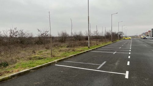 Засадиха хиляди дръвчета в община Несебър (Снимки) - E-Burgas.com