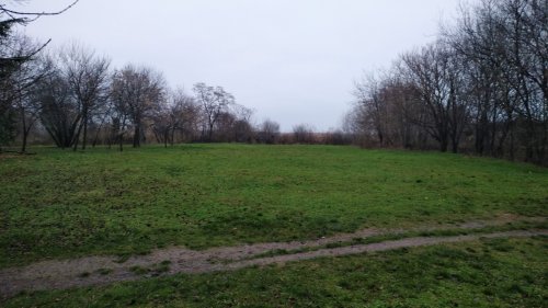 Засаждането на коледната горичка в парк „Езеро“ се отлага - E-Burgas.com