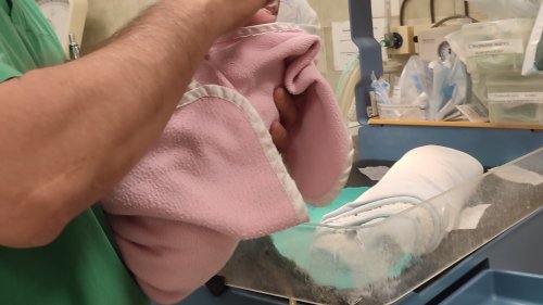 Бургаската болница прие новородено без майка, намерено на улицата - E-Burgas.com