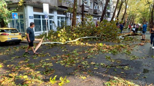 Буря помете Бургас: Съборени дървета, отнесени покриви и смазани коли (снимки) - E-Burgas.com